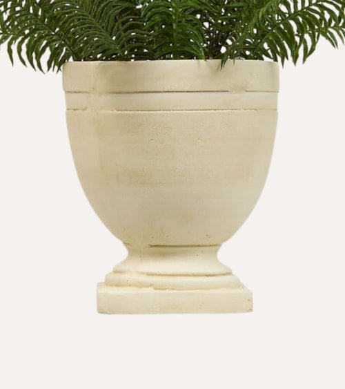 Helecho Decorativo Clásico con Maceta de Cerámica