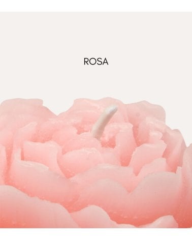 Vela en Forma de Flor Rosa de Parafina