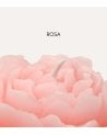 Vela en Forma de Flor Rosa de Parafina