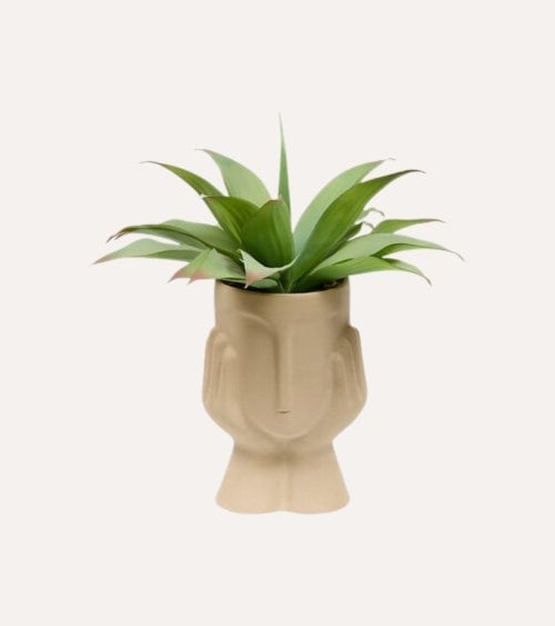 Planta Decorativa Agave con Maceta Persona de Cerámica