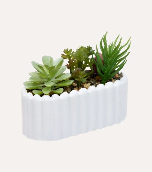 Planta Decorativa Jardinera Wida de Cemento