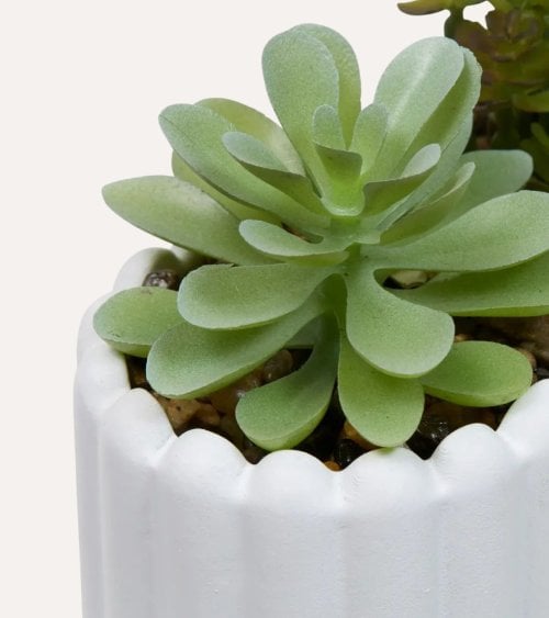 Planta Decorativa Jardinera Wida de Cemento