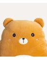 Peluche Squishy Infantil Oso Pardo de Poliéster