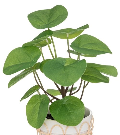 Planta Artificial con Maceta de Cerámica-2