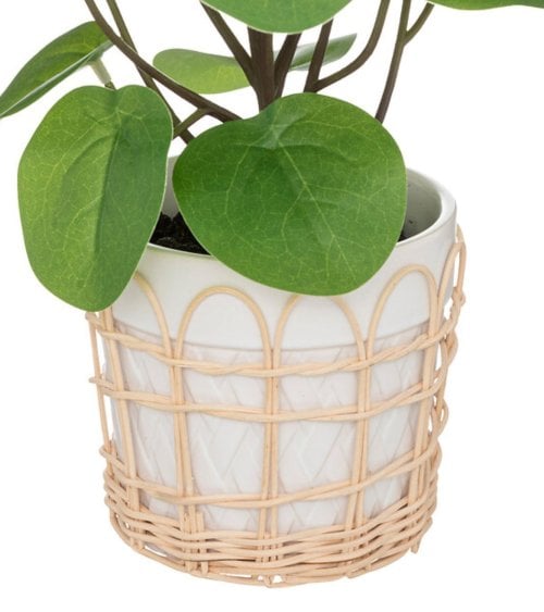 Planta Artificial con Maceta de Cerámica-3