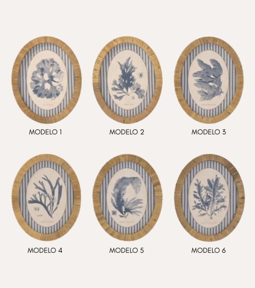 Cuadro Coral en Acuarela de Ratán