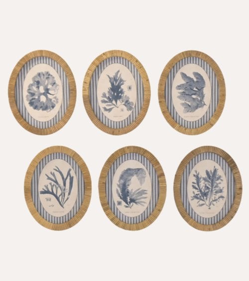 Cuadro Coral en Acuarela de Ratán