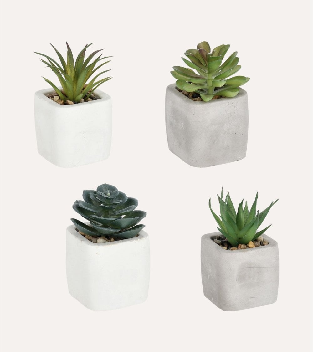 Planta Decorativa Gladis de Cemento y Plástico