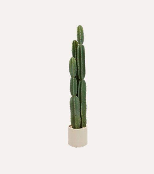 Cactus Decorativo de 3 Troncos Sien con Maceta de Plastico