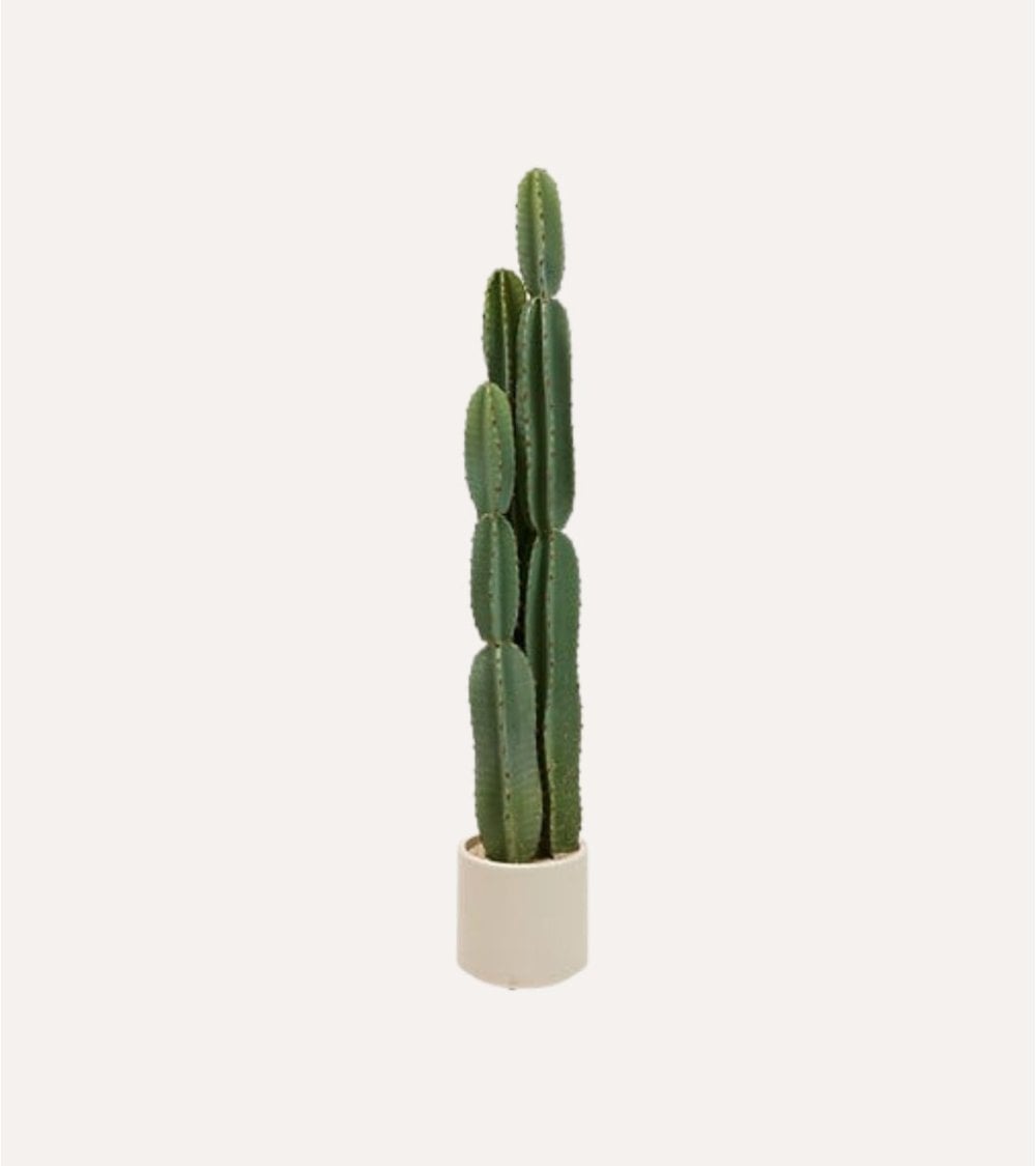 Cactus Decorativo de 3 Troncos Sien con Maceta de Plastico