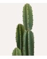 Cactus Decorativo de 3 Troncos Sien con Maceta de Plastico