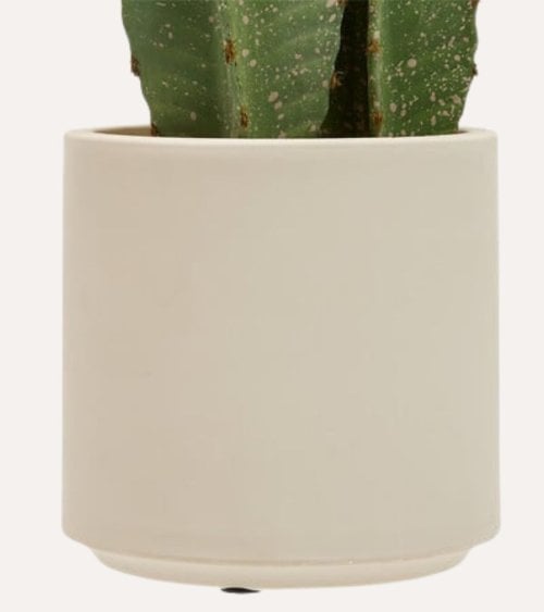 Cactus Decorativo de 3 Troncos Sien con Maceta de Plastico