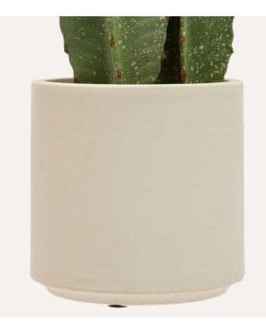 Cactus Decorativo de 3 Troncos Sien con Maceta de Plastico