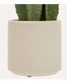 Cactus Decorativo de 3 Troncos Sien con Maceta de Plastico