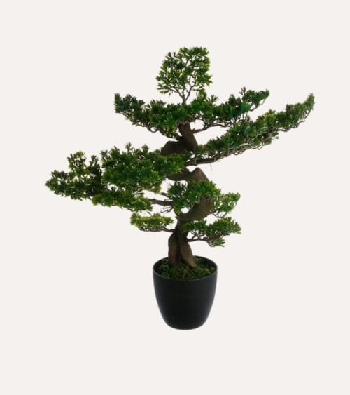 Bonsai Decorativo con Maceta de Cemento