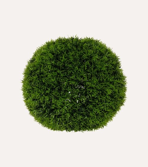 Arbol de Carly de Plástico