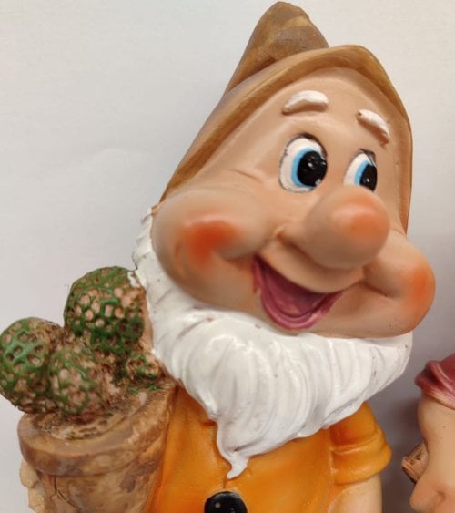 Figura Decorativa con Forma de Enano para Jardín-7