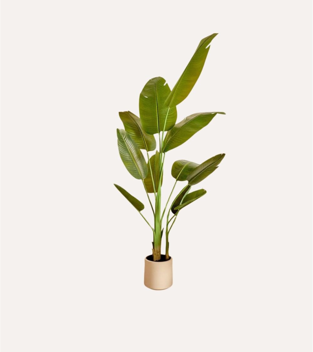 Platanero Decorativo Lora con 3 Troncos de Plástico