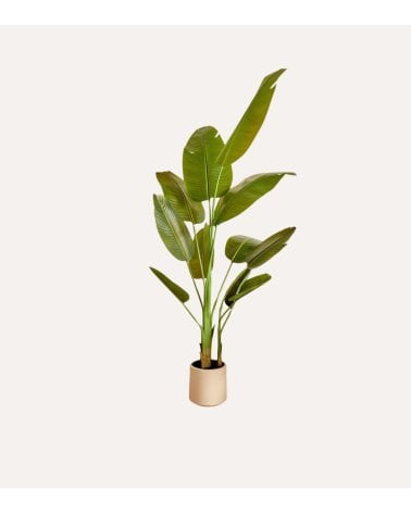 Platanero Decorativo Lora con 3 Troncos de Plástico