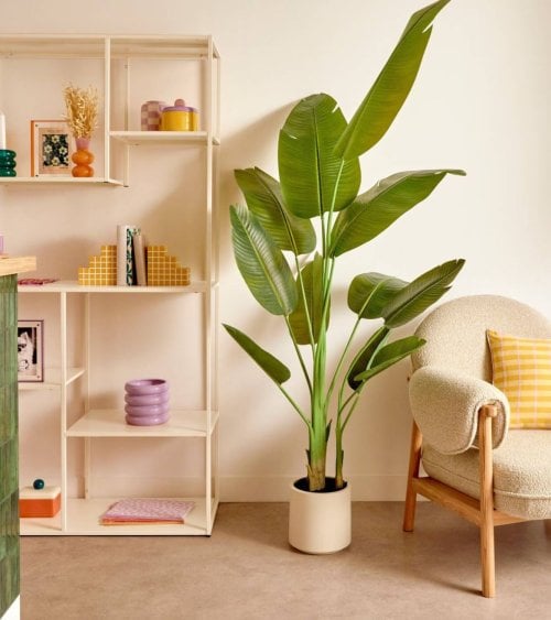 Platanero Decorativo Lora con 3 Troncos de Plástico