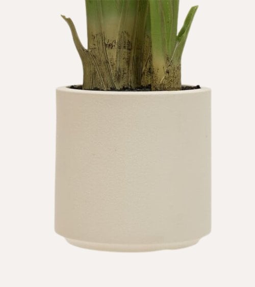 Platanero Decorativo Lora con 3 Troncos de Plástico