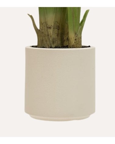 Platanero Decorativo Lora con 3 Troncos de Plástico