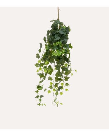 Planta Colgante Decorativa Hiedra Tria