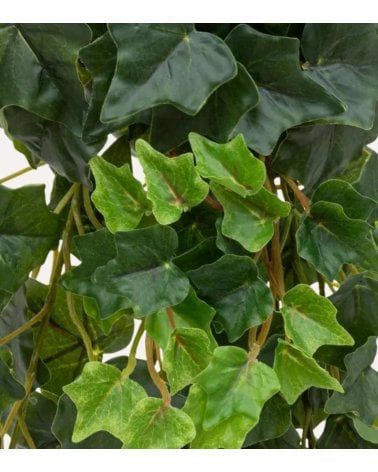 Planta Colgante Decorativa Hiedra Tria