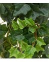 Planta Colgante Decorativa Hiedra Tria