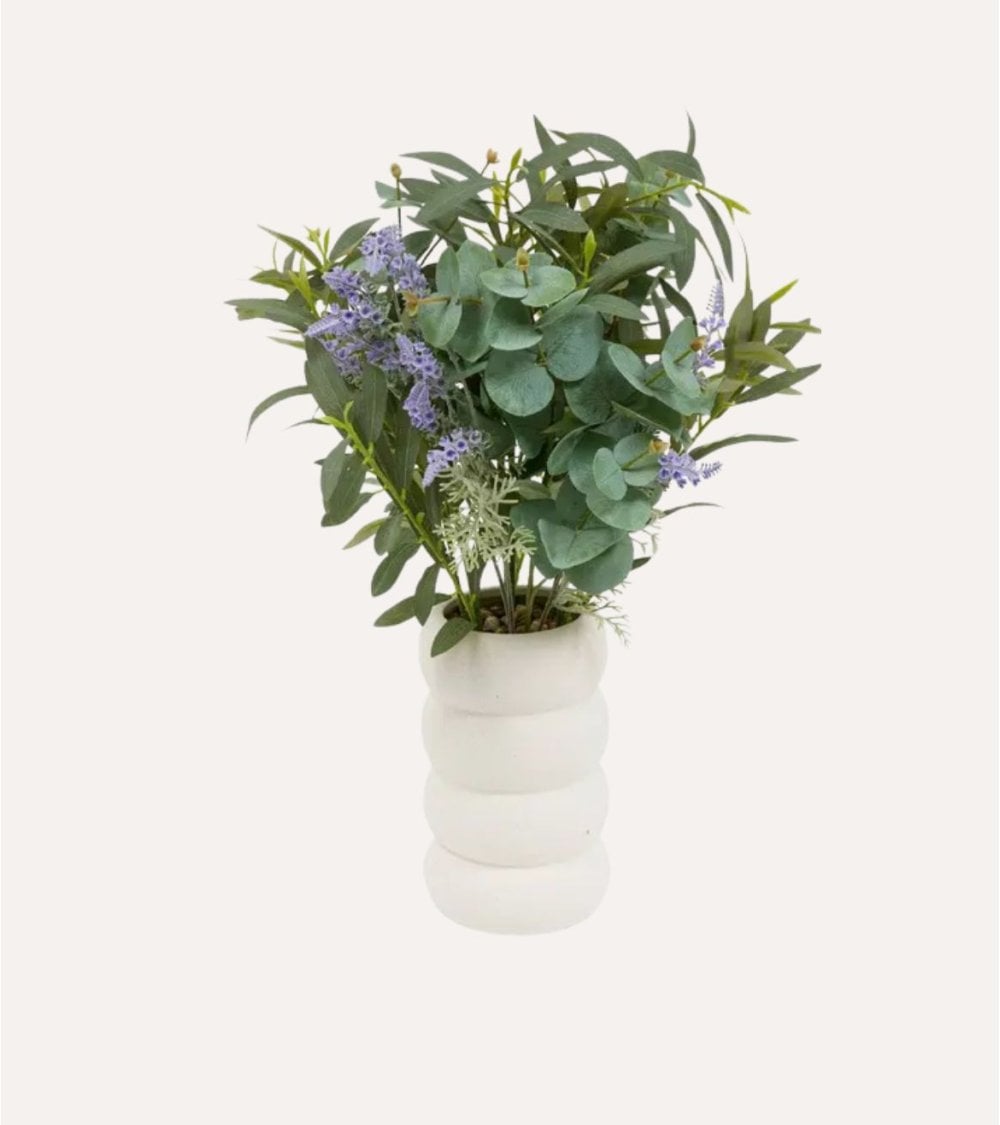 Planta decorativa de Eucalipto y Lavanda Uda