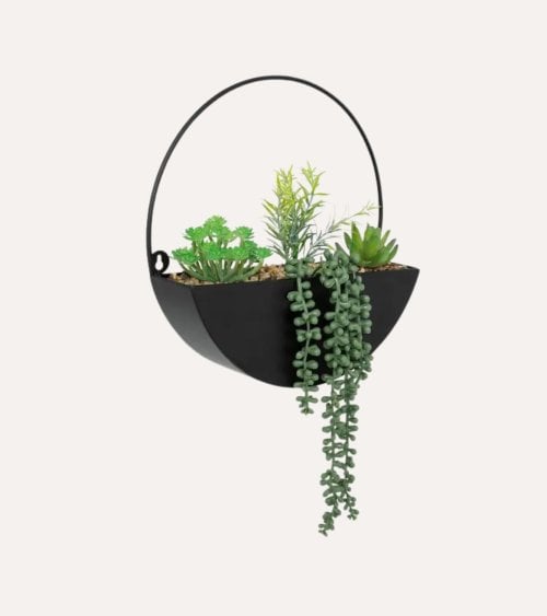 Planta Decorativa Imy Colgante con Maceta Negra de Acero