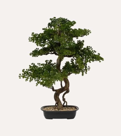 Bonsai Decorativo Polin con Maceta