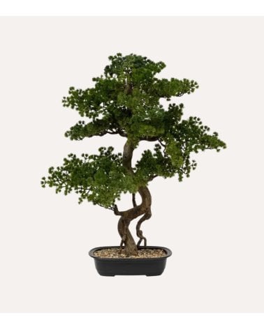 Bonsai Decorativo Polin con Maceta