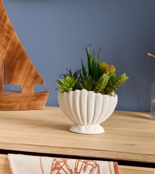Planta Decorativa Ocea con Maceta Concha de Dolomita