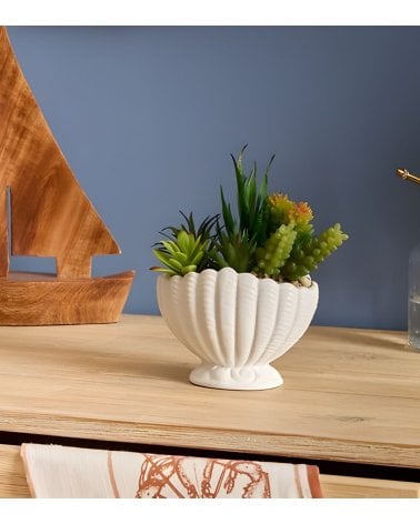 Planta Decorativa Ocea con Maceta Concha de Dolomita