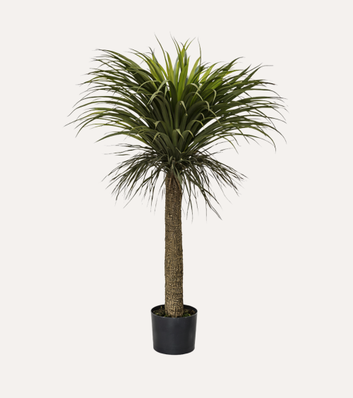 Palmera Yuca Tropical Decorativa con Maceta de Acero