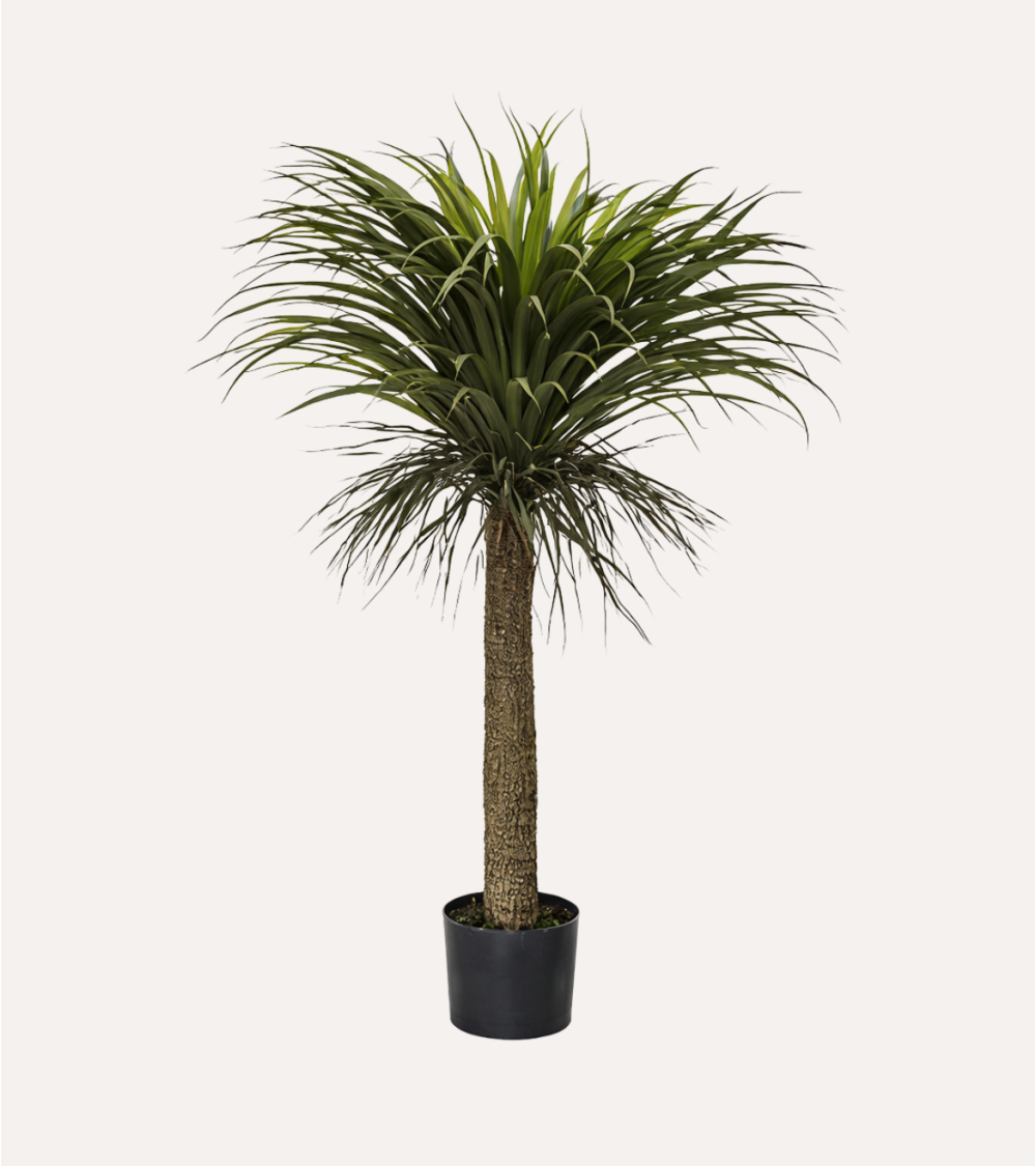 Palmera Yuca Tropical Decorativa con Maceta de Acero