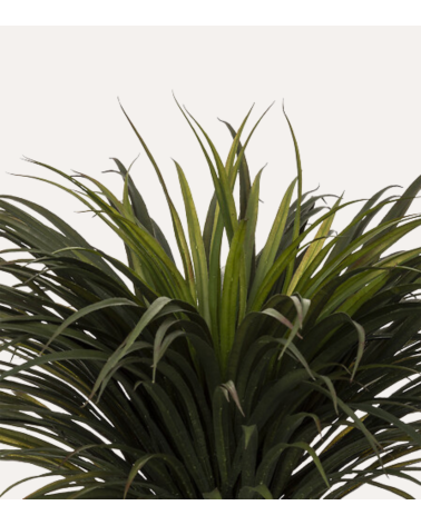 Palmera Yuca Tropical Decorativa con Maceta de Acero