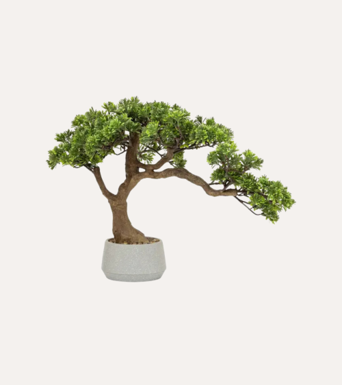 Bonsai Decorativo Polin Inclinado en Maceta