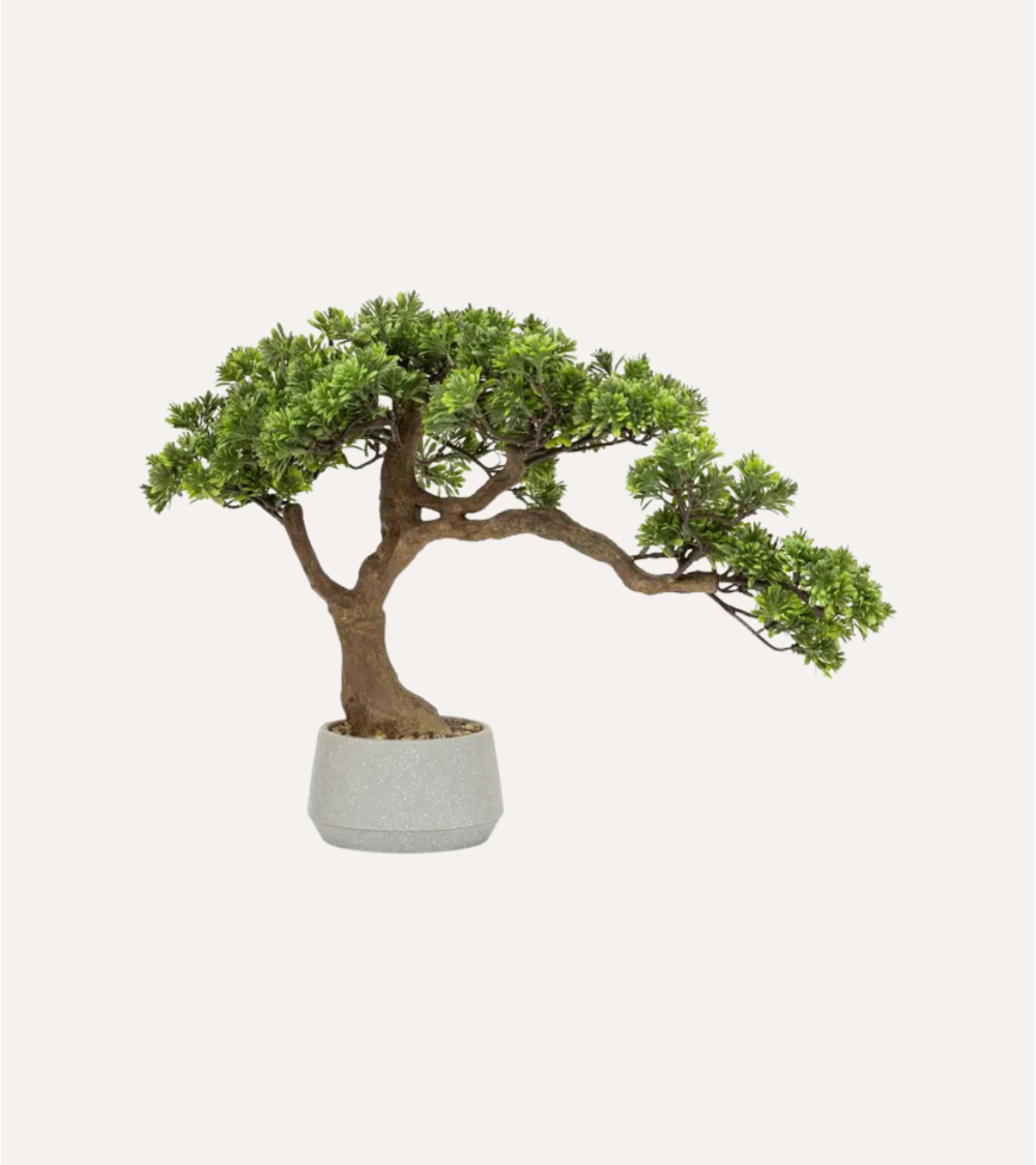 Bonsai Decorativo Polin Inclinado en Maceta
