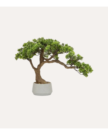 Bonsai Decorativo Polin Inclinado en Maceta