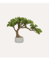 Bonsai Decorativo Polin Inclinado en Maceta