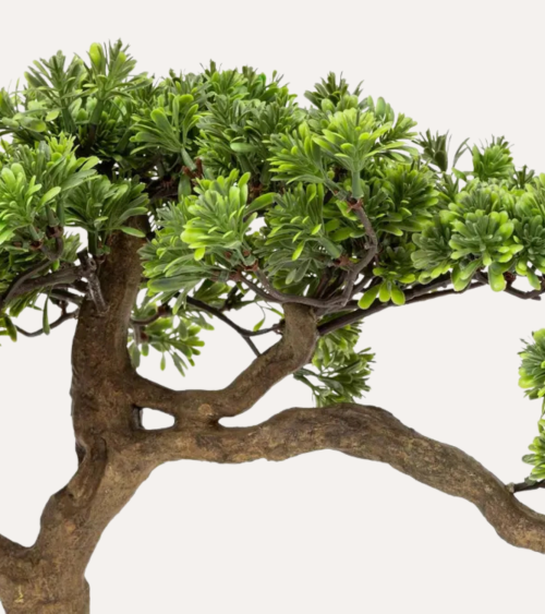 Bonsai Decorativo Polin Inclinado en Maceta