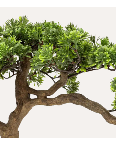 Bonsai Decorativo Polin Inclinado en Maceta
