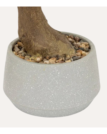 Bonsai Decorativo Polin Inclinado en Maceta