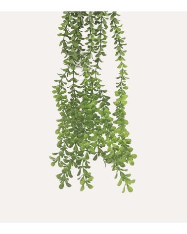 Planta Colgante Decorativo Boj Delicado de Aspecto Realista