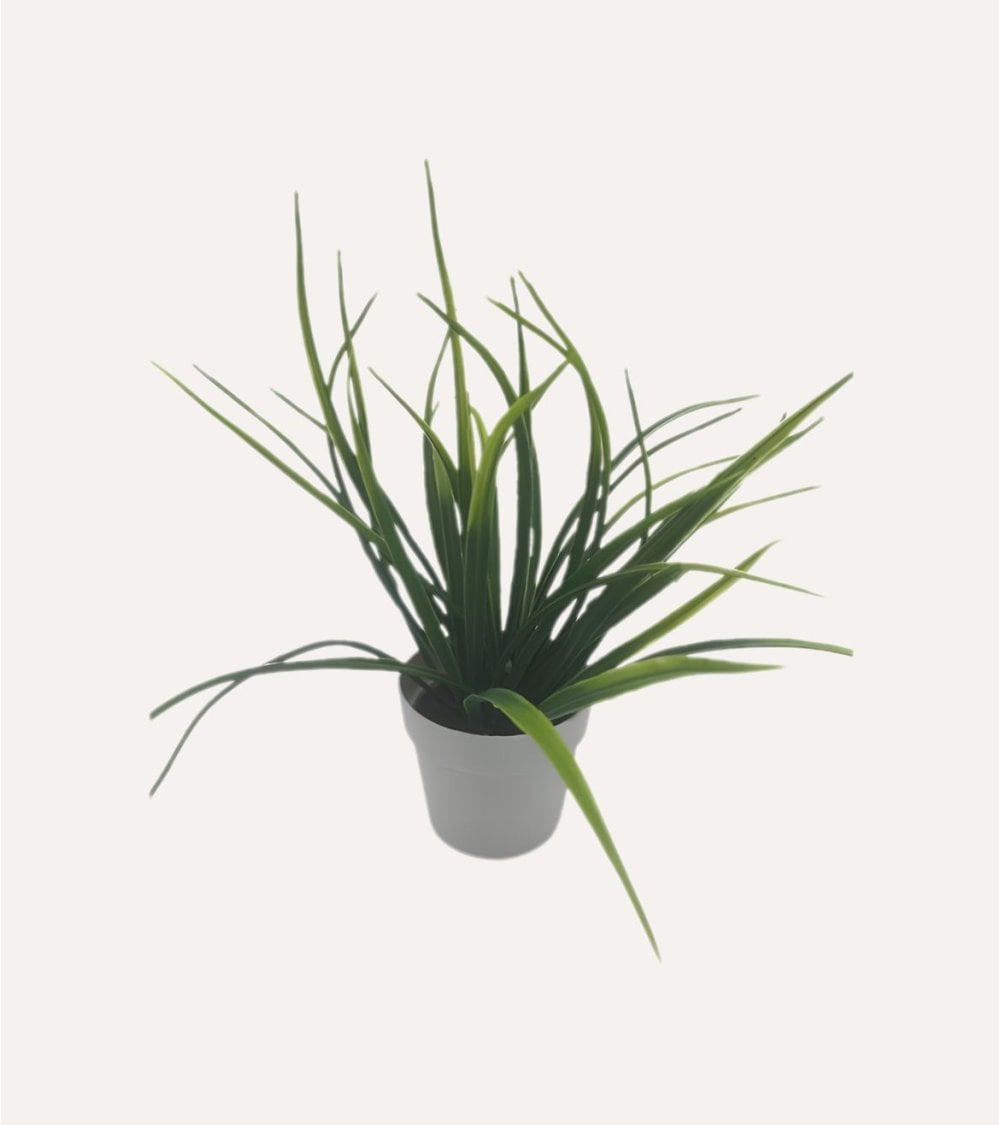Planta Decorativo Grass de Aspecto Realista