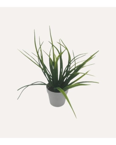 Planta Decorativo Grass de Aspecto Realista