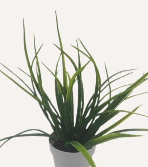 Planta Decorativo Grass de Aspecto Realista