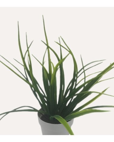 Planta Decorativo Grass de Aspecto Realista